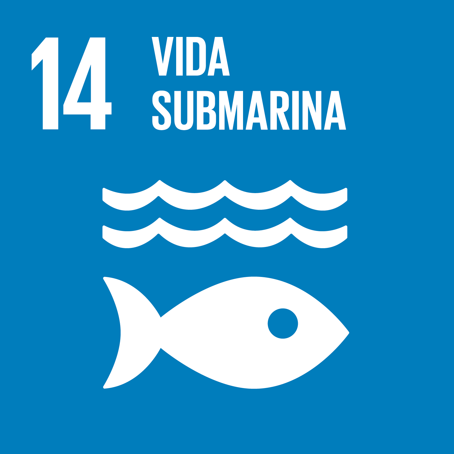 ODS 14.Vida submarina