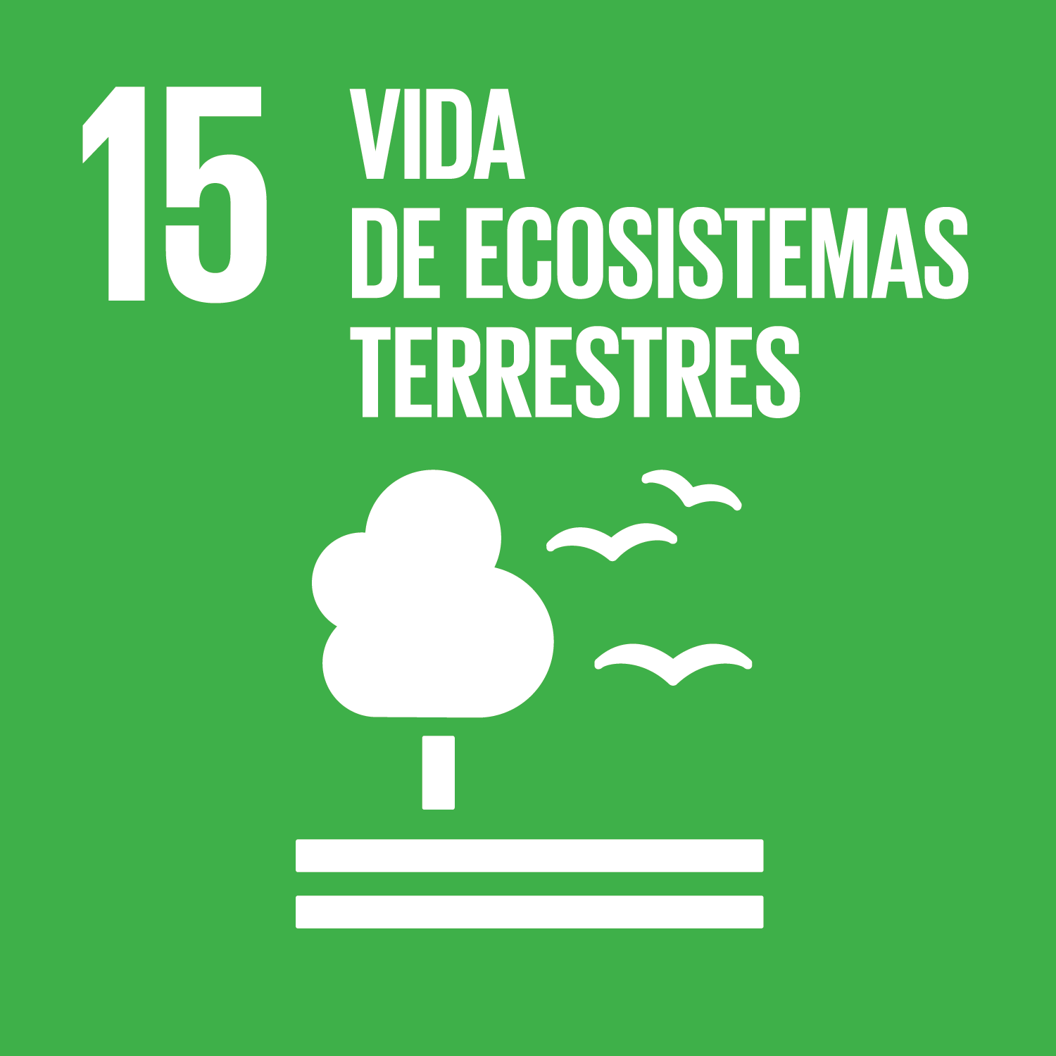 ODS 15.Vida de ecosistemas terrestres