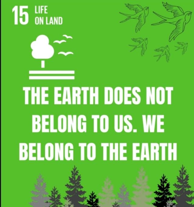 Reformar edificios antiguos para hacerlos más sostenibles y resilientes al cambio climático evitando así mayor tala de espacios verdes próximos a las ciudades